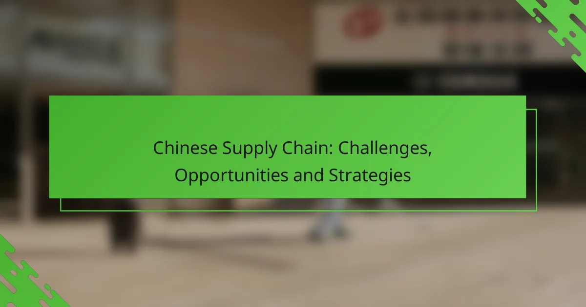 Chinese Supply Chain: Challenges, Opportunities and Strategies