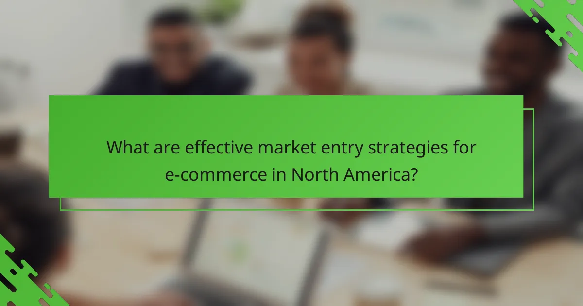 What are effective market entry strategies for e-commerce in North America?