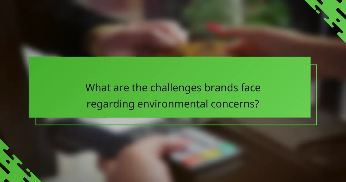 What are the challenges brands face regarding environmental concerns?