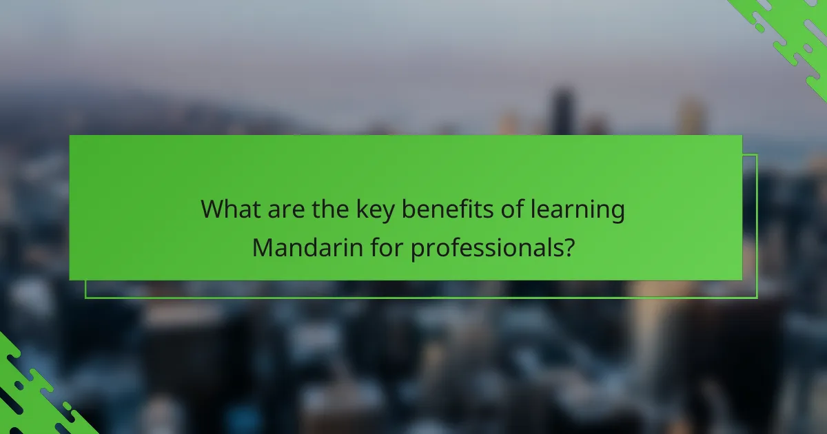 What are the key benefits of learning Mandarin for professionals?