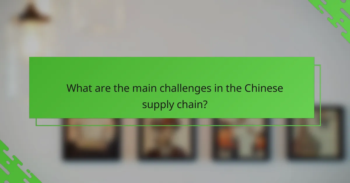 What are the main challenges in the Chinese supply chain?