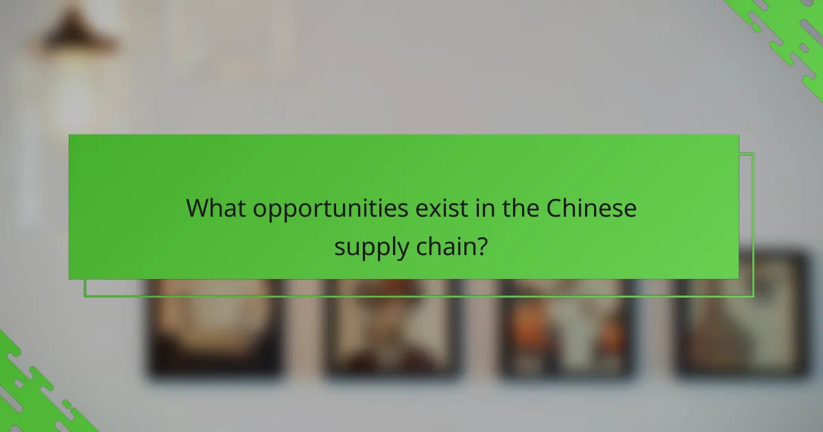 What opportunities exist in the Chinese supply chain?